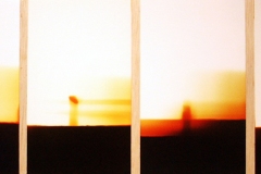 10. Ovnis, 2003, papel fotografico encontrado, sobre madera. 30 x 45cm